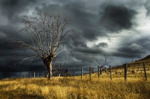 storm ciara